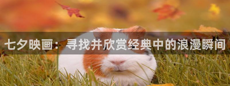 飘雪影院电影网