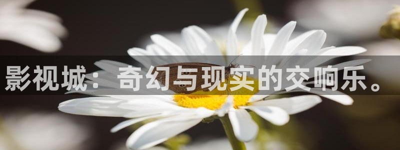 飘雪影院理论片