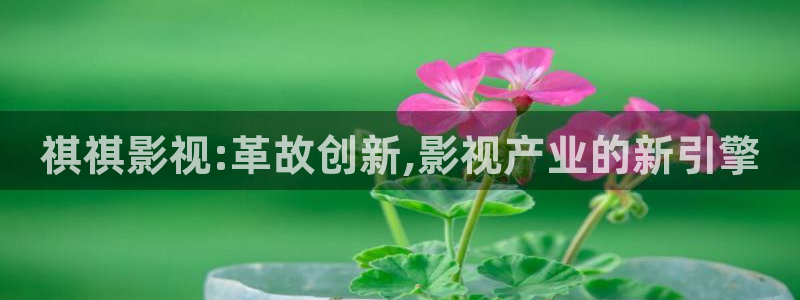 飘雪影视免费在线观看