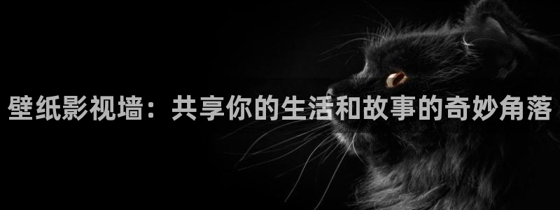 飘雪影院好看的电影：壁纸影视墙：共享你的生活和故事的奇妙角落