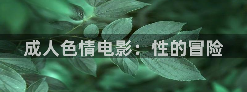 飘雪影院：成人色情电影：性的冒险