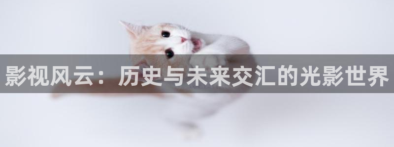 飘雪影院在线看：影视风云：历史与未来交汇的光影世界